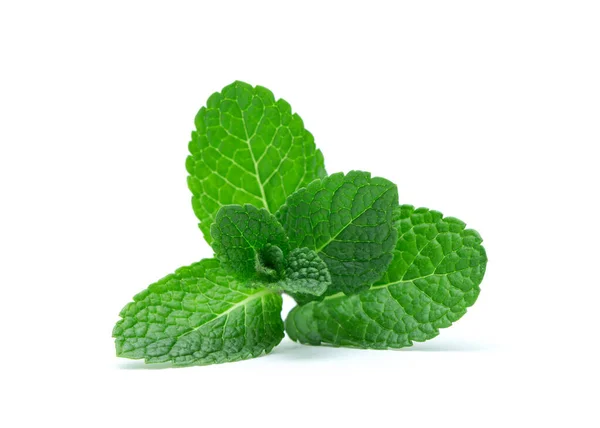 Čerstvé Zelené Mátové Listy Izolované Bílém Pozadí Pohled Shora — Stock fotografie