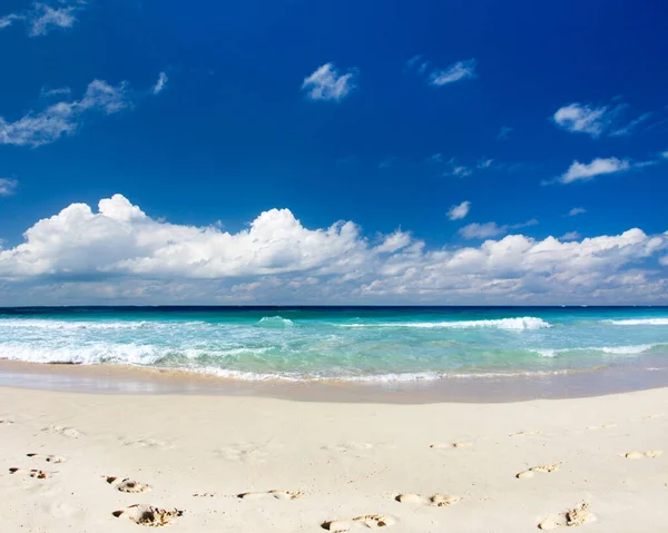 Pláž Krásné Tropické Moře Tropická Pláž Maledivách — Stock fotografie