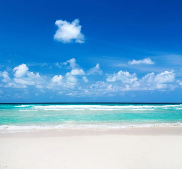美丽的沙滩 白色的沙子 热带海 蓝天多云 惊人的海滩垃圾 — 图库照片