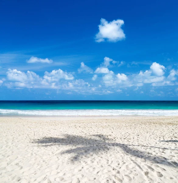 Прекрасний Пляж Білим Піском Тропічне Море Блакитним Небом Дивовижний Пляжний — стокове фото