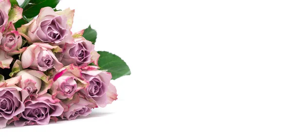 Rosa Rosen Auf Weißem Hintergrund Valentins Hintergrund Blumenmuster — Stockfoto