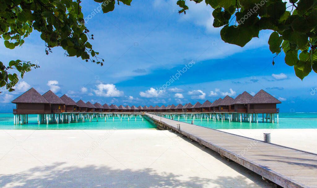 tropical beach in Maldives with few palm trees and blue lagoon