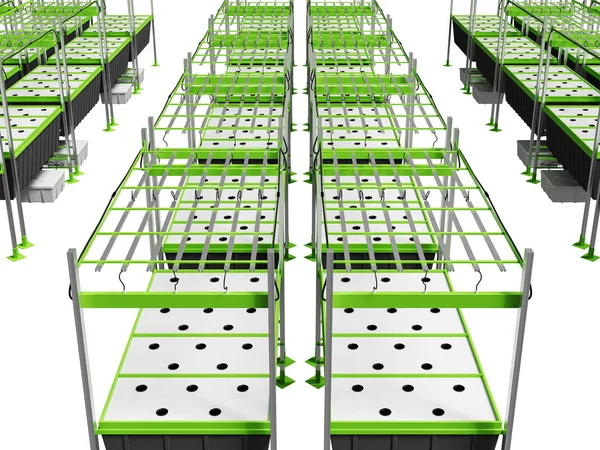 Hydrocultuur Aeroponics Groeiende Sistem — Stockfoto