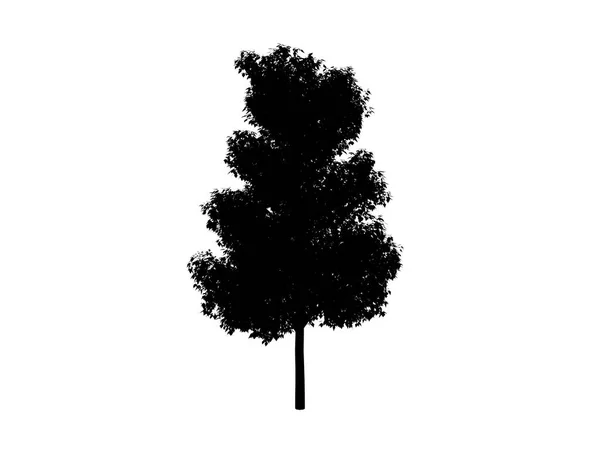 Kontur ağaç ortak — Stok fotoğraf