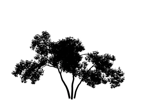 Obrysový strom fialová — Stock fotografie
