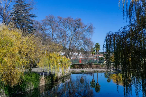 Pohled na portugalské město Tomar — Stock fotografie