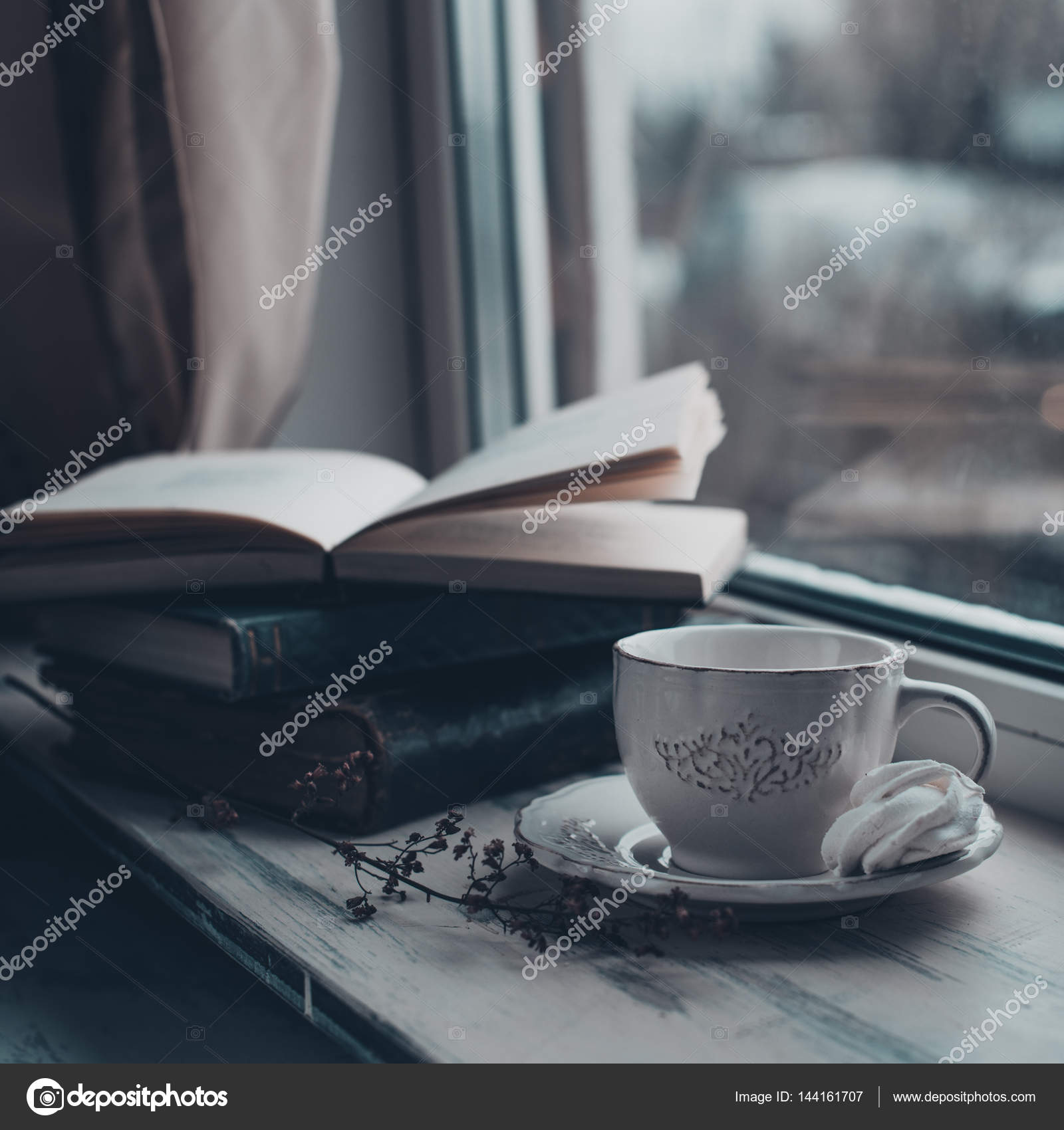 Download Cozy Winter Still Life Cup Of Hot Coffee And Opened Book On Vintage Windowsill Against Snow Landscape From Outside Stock Photo Image By C Thandra 144161707