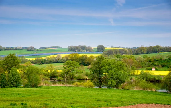 Repce sárga zöld mező tavasszal, elvont természetes ökológiai szezonális virágos háttér — Stock Fotó