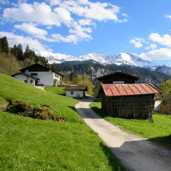 Paisagem idílica nos Alpes com prados verdes frescos e flores floridas e cumes de montanhas cobertas de neve ao fundo, Nationalpark Berchtesgadener Land, Baviera, Alemanha — Fotografia de Stock