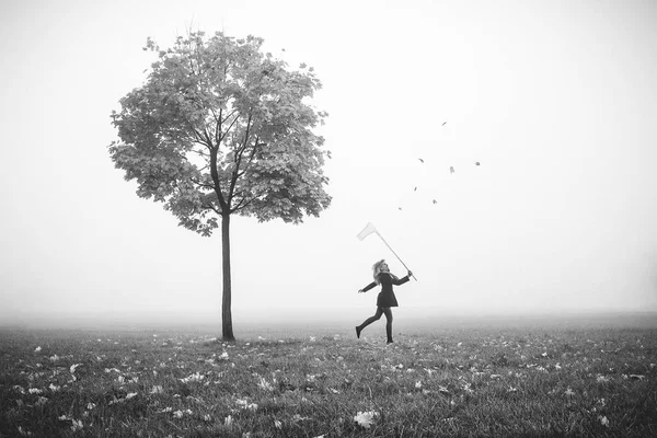 Ung flicka att fånga hösten leafes med netto — Stockfoto
