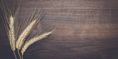 kulaklar kahverengi ahşap zemin üzerinde çavdar