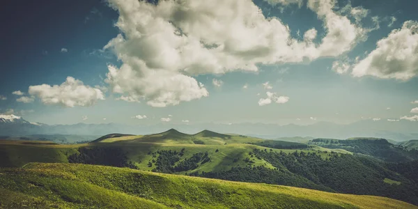 Letní hory krajina zelené trávy a modrá obloha — Stock fotografie