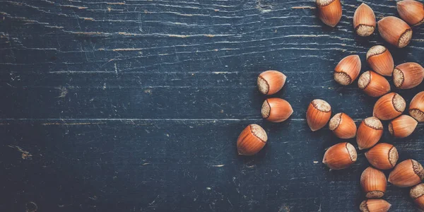 Noisettes sur la table en bois bleu — Photo