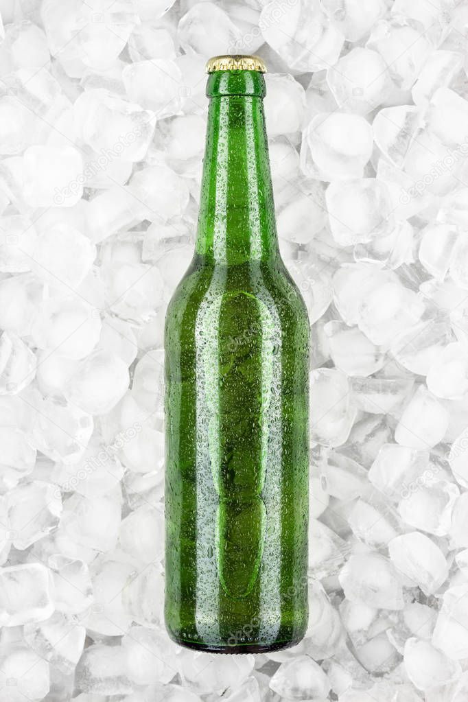 green beer bottle in the ice