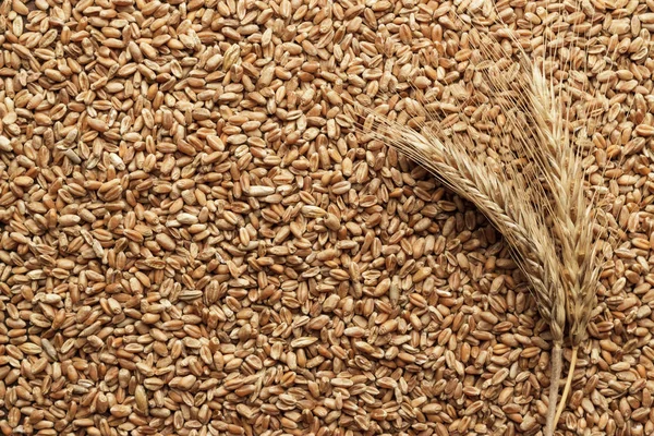 Wheat on the table — Stock Photo, Image