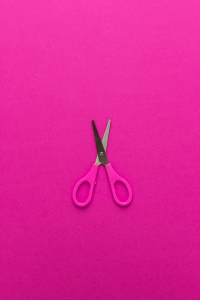 Ножницы на пурпурной спине — стоковое фото