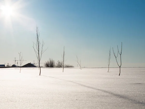 Krajobraz mroźną zimę — Zdjęcie stockowe