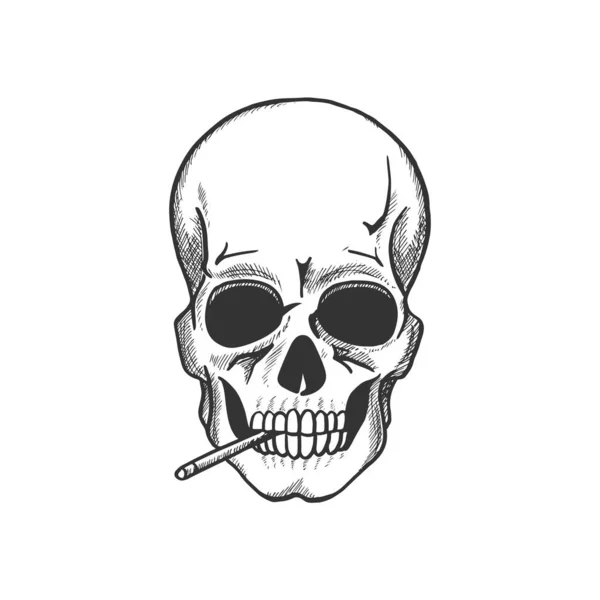 Crânio fumando esboço de cigarro para símbolo de aviso — Vetor de Stock