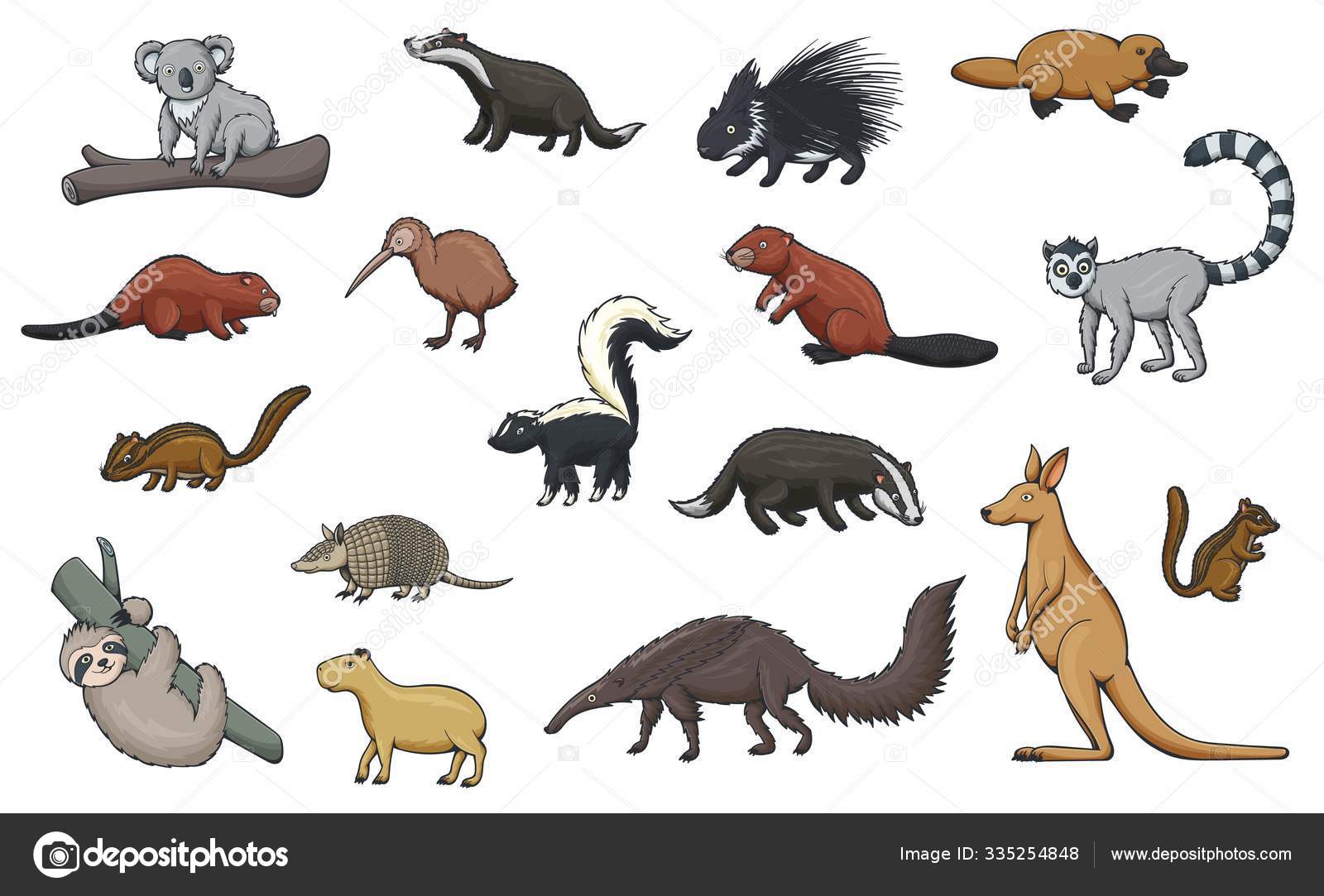 Jogo De Quebra-Cabeça Cartoon Capivara Clipart De Stock