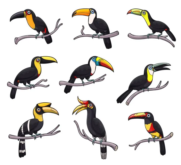 Egzotikus trópusi állatok toszkán madár ikonjai — Stock Vector