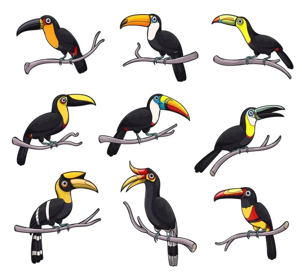 Toucan fågel ikoner av exotiska tropiska djur — Stock vektor