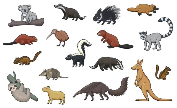 Iconos de dibujos animados de animales salvajes de zoológico y vida silvestre — Vector de stock