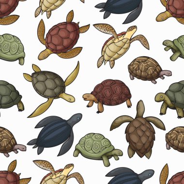 Sea turtle animals seamless pattern background
