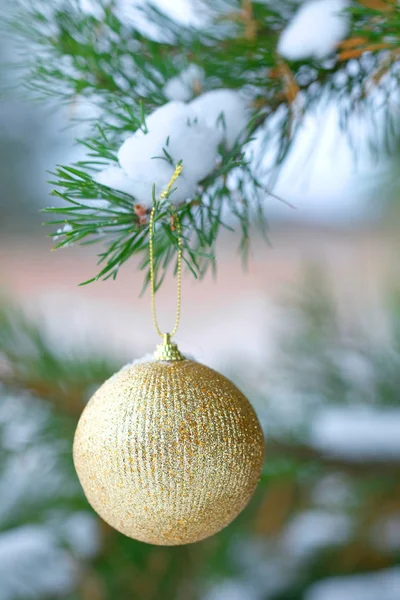Noel ağacına şerit — Stok fotoğraf