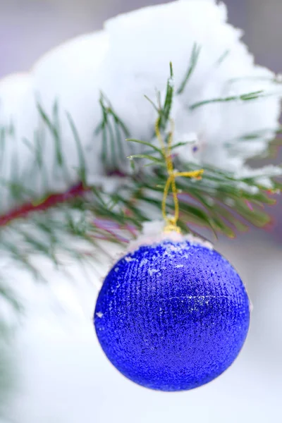 Ribbon on the christmas tree — Stock Photo, Image