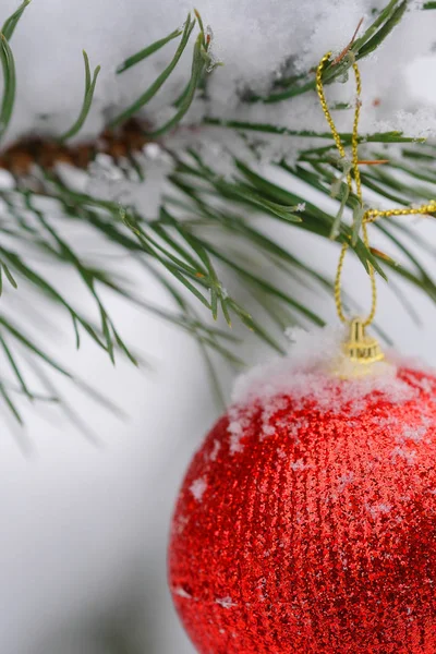 Cinta en el árbol de Navidad —  Fotos de Stock