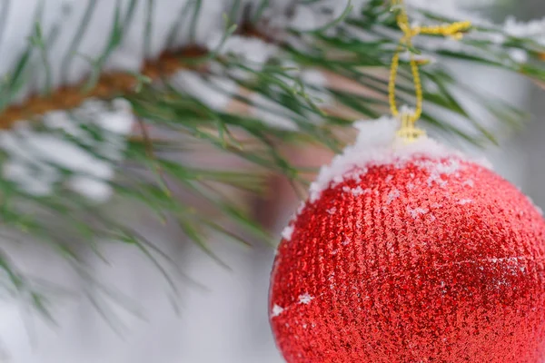 Cinta en el árbol de Navidad —  Fotos de Stock