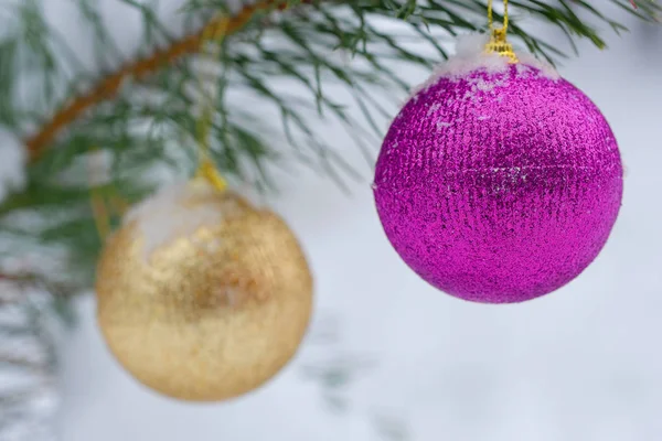 Dos cintas en el árbol de Navidad — Foto de Stock