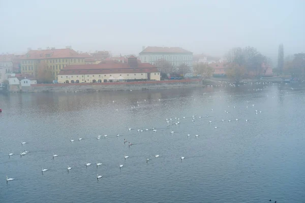 Sabah sis Prag'da Vltava Nehri üzerinde — Stok fotoğraf