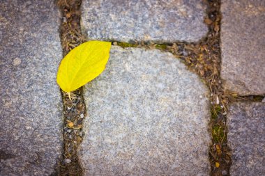 Arka plan bir taş döşeme görüntü ile