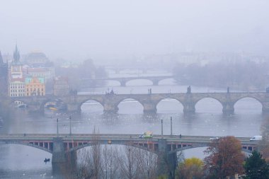 Eski bir Prag Panoraması, Vitava nehrinin köprüleri ve dolgu