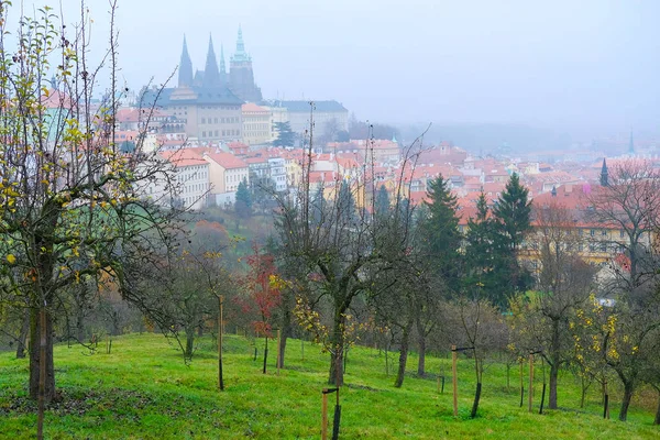 Панорама старой Праги с собором Святого Вита и Пражским градом — стоковое фото