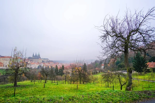 Aussicht auf das alte Prag mit dem Veitsdom und der Prager Burg — Stockfoto