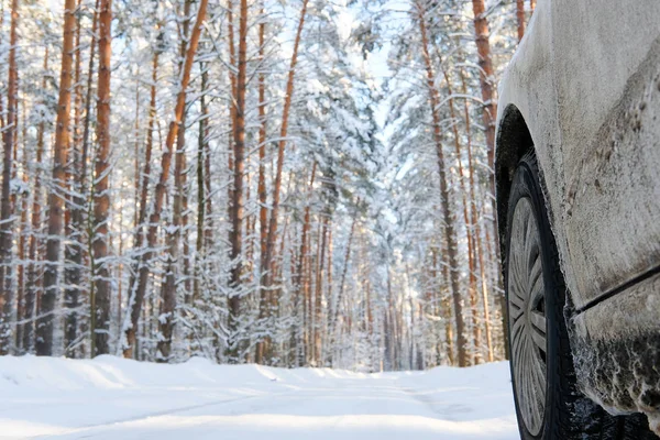 Winter country forest road — Stock Photo, Image