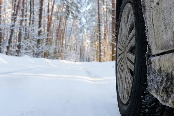 Inverno país floresta estrada — Fotografia de Stock