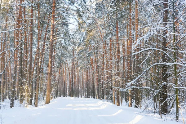 Zimowa wiejska droga w lesie — Zdjęcie stockowe