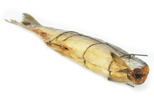 Image of a salmon — Stock Photo, Image