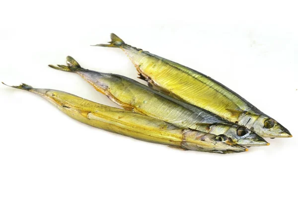 Pacific saury isolerade — Stockfoto