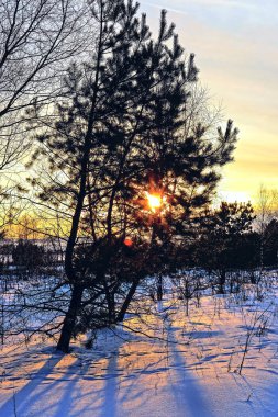 Kış akşam günbatımında 