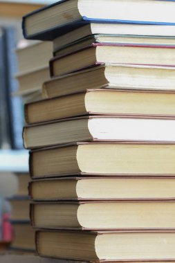kitaplığındaki kitap rafı