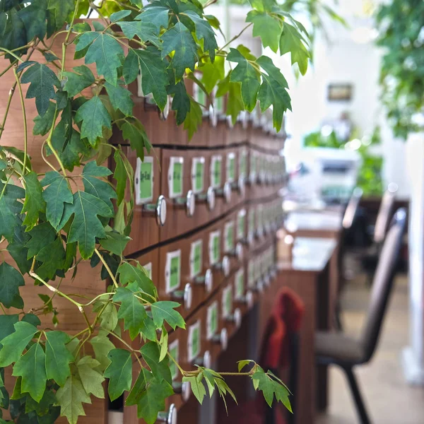 Imagen del catálogo de la biblioteca — Foto de Stock