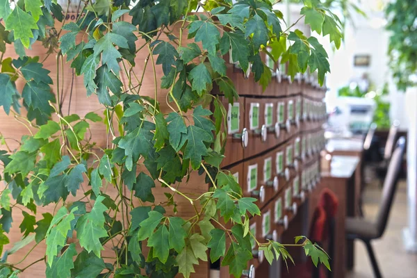 Imagen del catálogo de la biblioteca — Foto de Stock