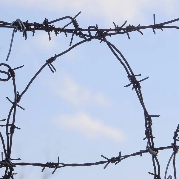 Barbed wire against the sky — Stock Photo, Image