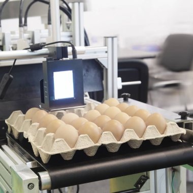 Endüstriyel yumurta paketleme hattı