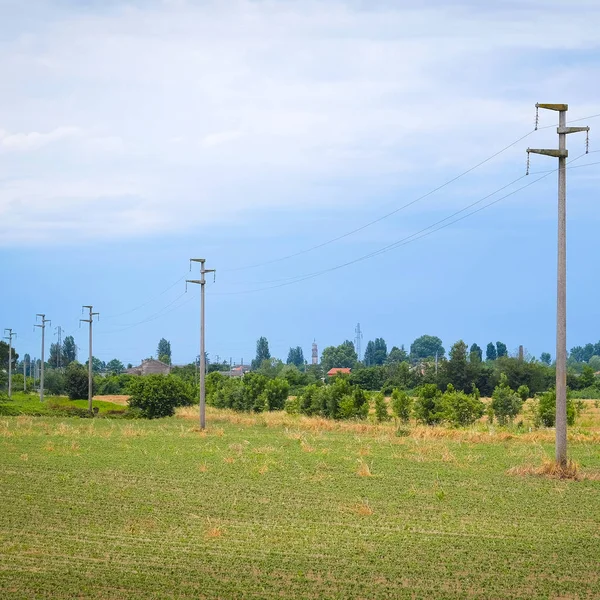 Landbouw zomer landschap — Stockfoto