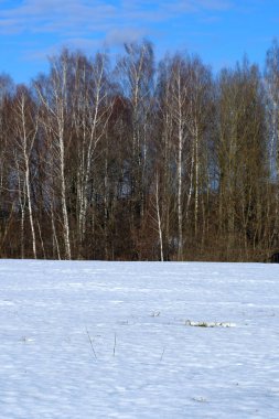 Bahar country peyzaj